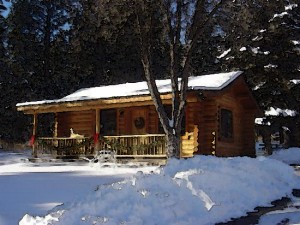 cabin-in-the-snow